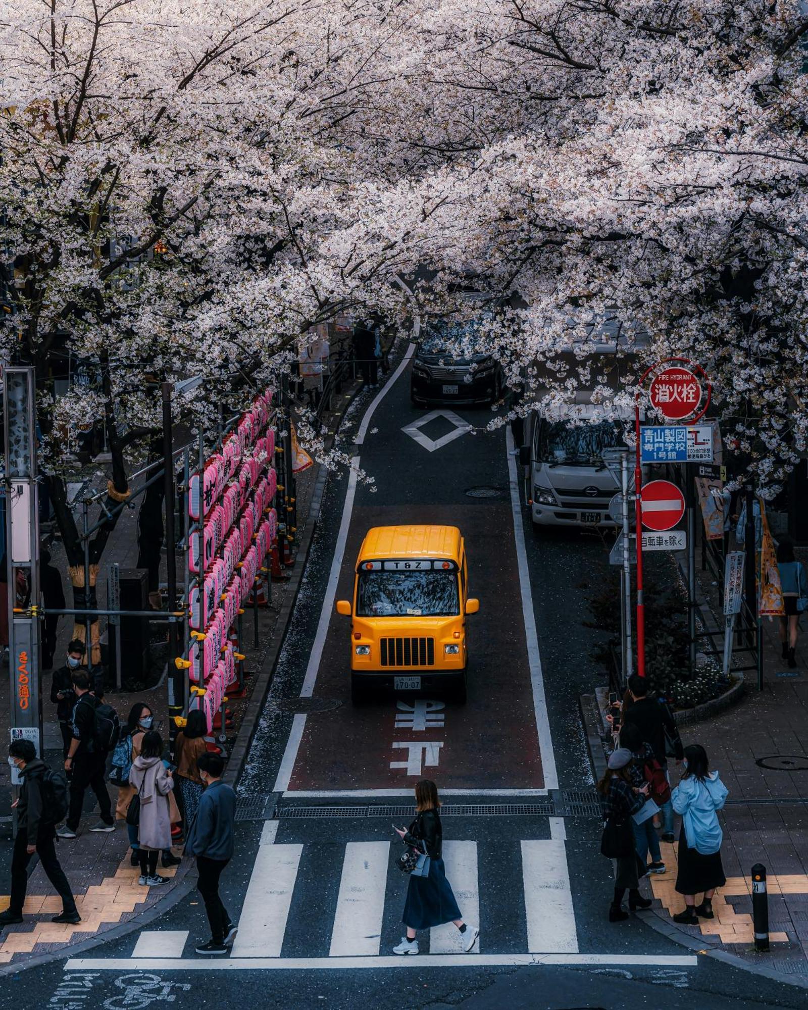 Illi Mani Shibuya Otel Tokyo Dış mekan fotoğraf